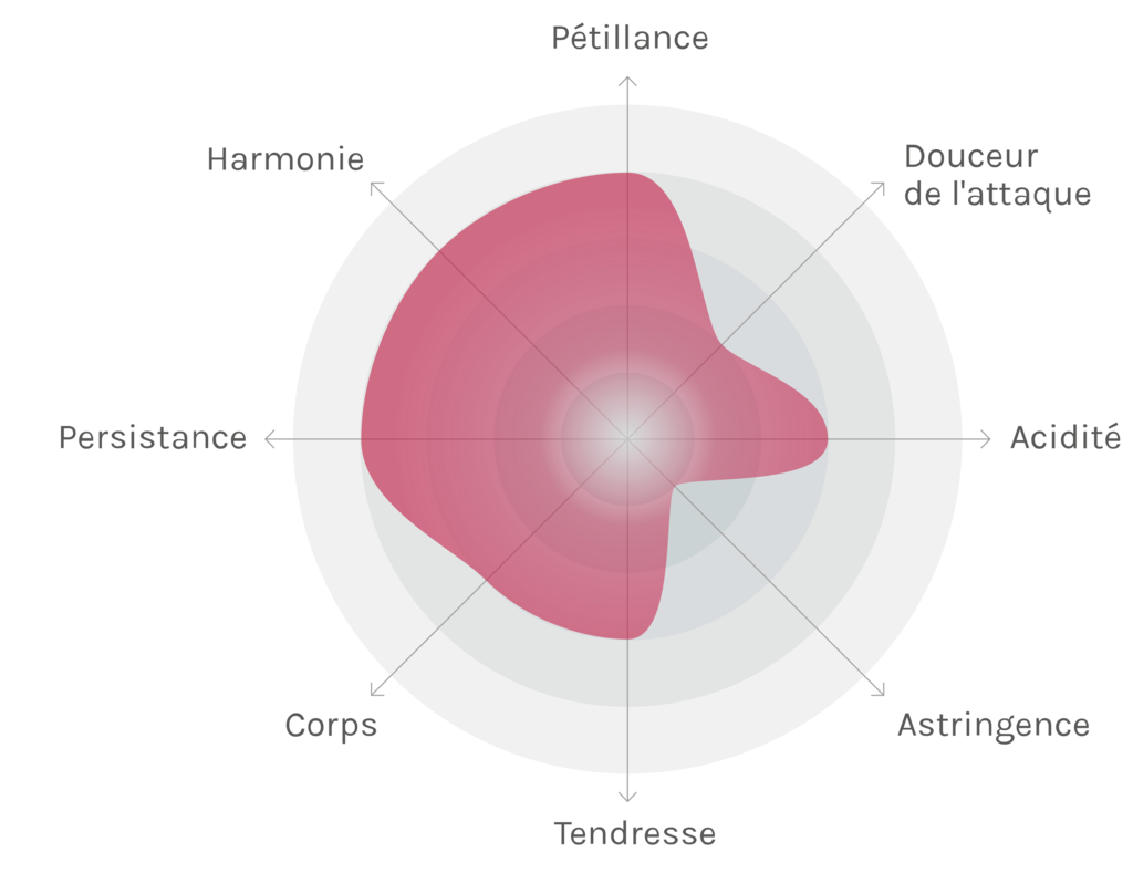 Spinnennetz-Chart