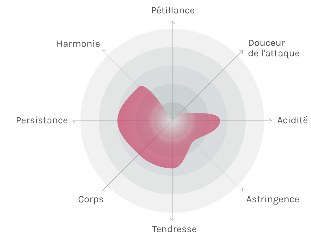 Spinnennetz-Chart