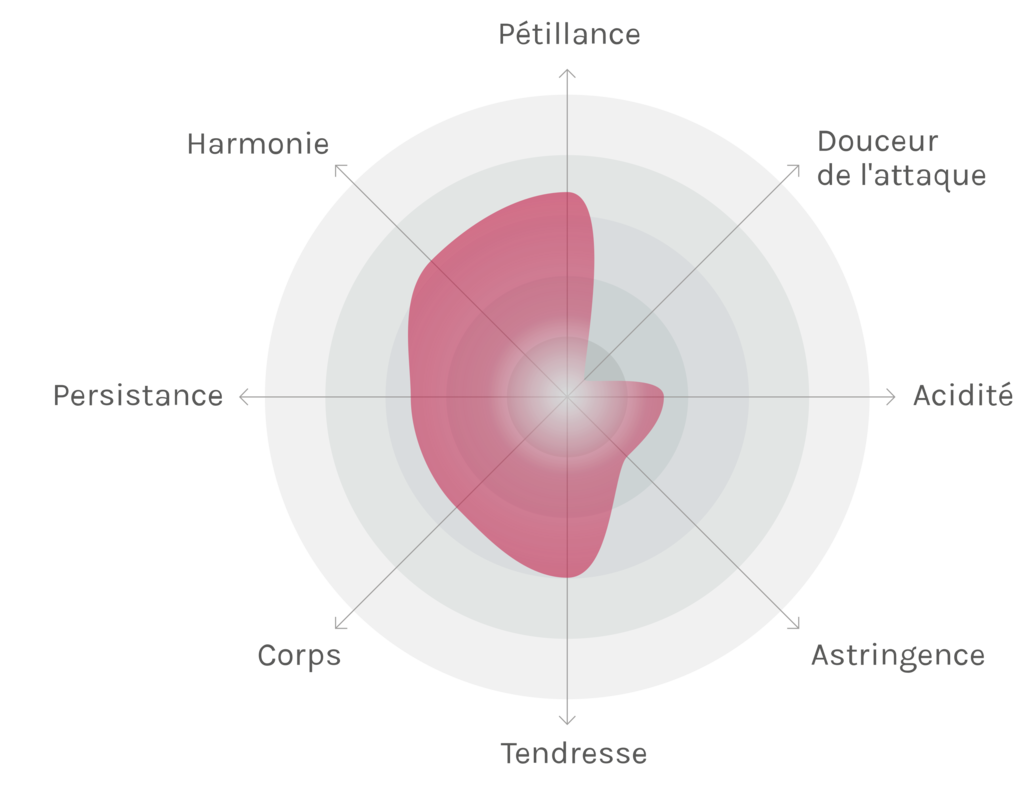 Spinnennetz-Chart