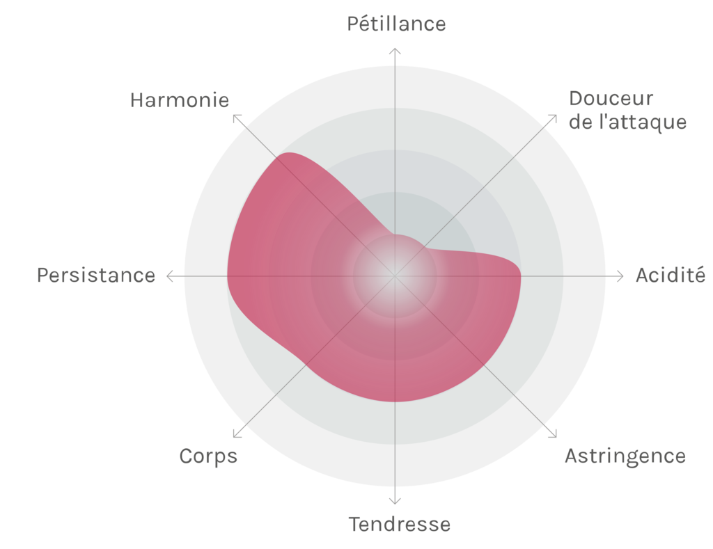 Spinnennetz-Chart