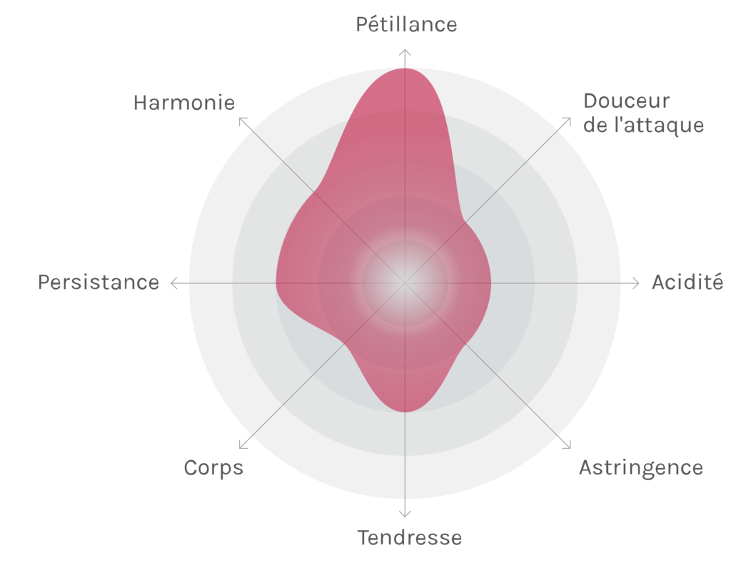 Spinnennetz-Chart