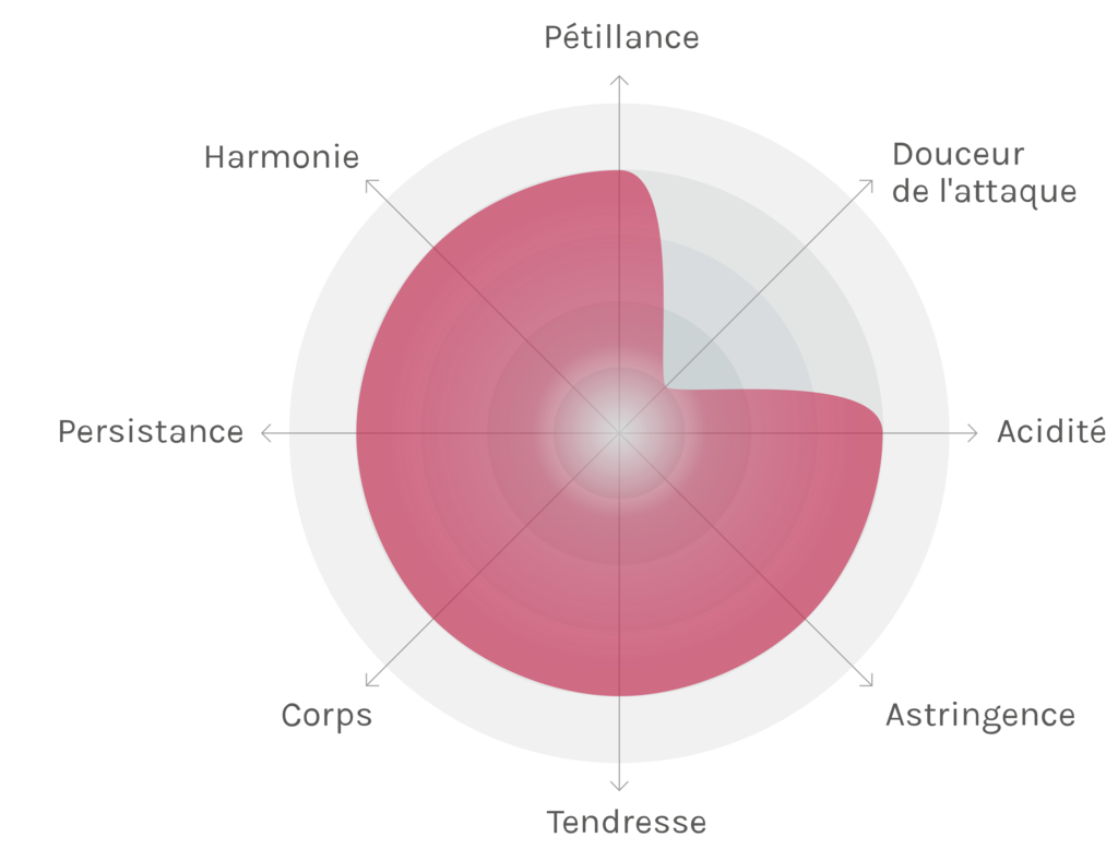 Spinnennetz-Chart