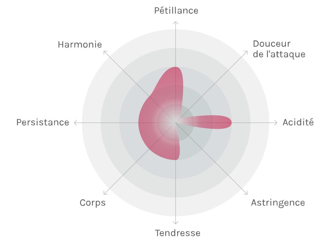 Spinnennetz-Chart