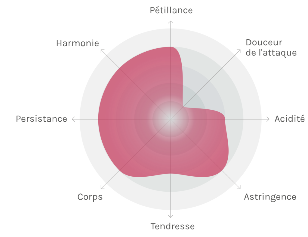 Spinnennetz-Chart