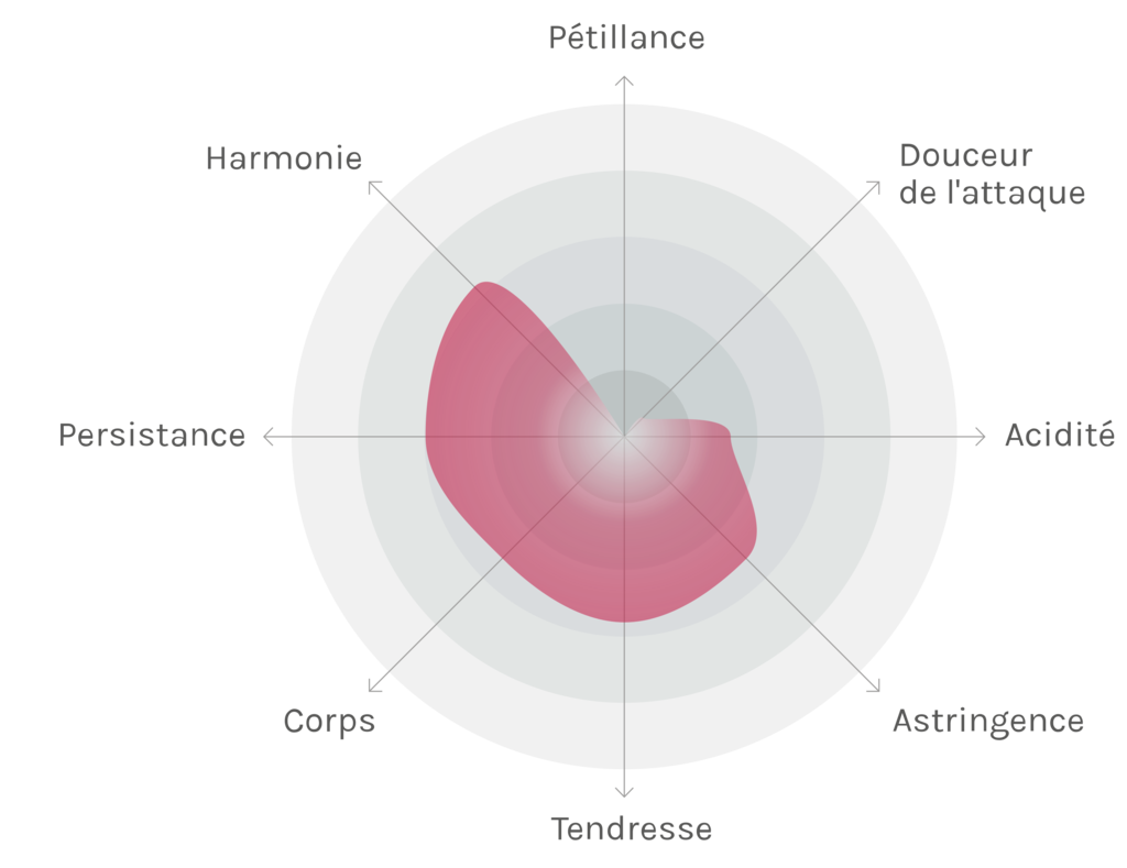 Spinnennetz-Chart