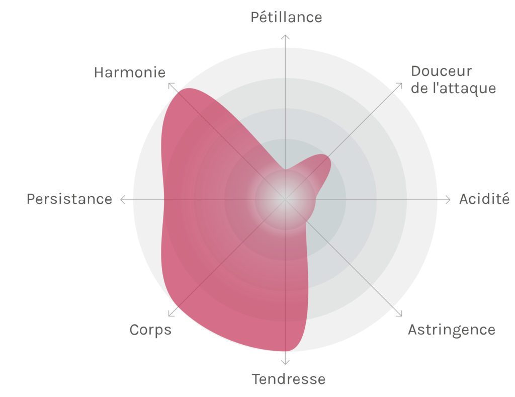 Spinnennetz-Chart