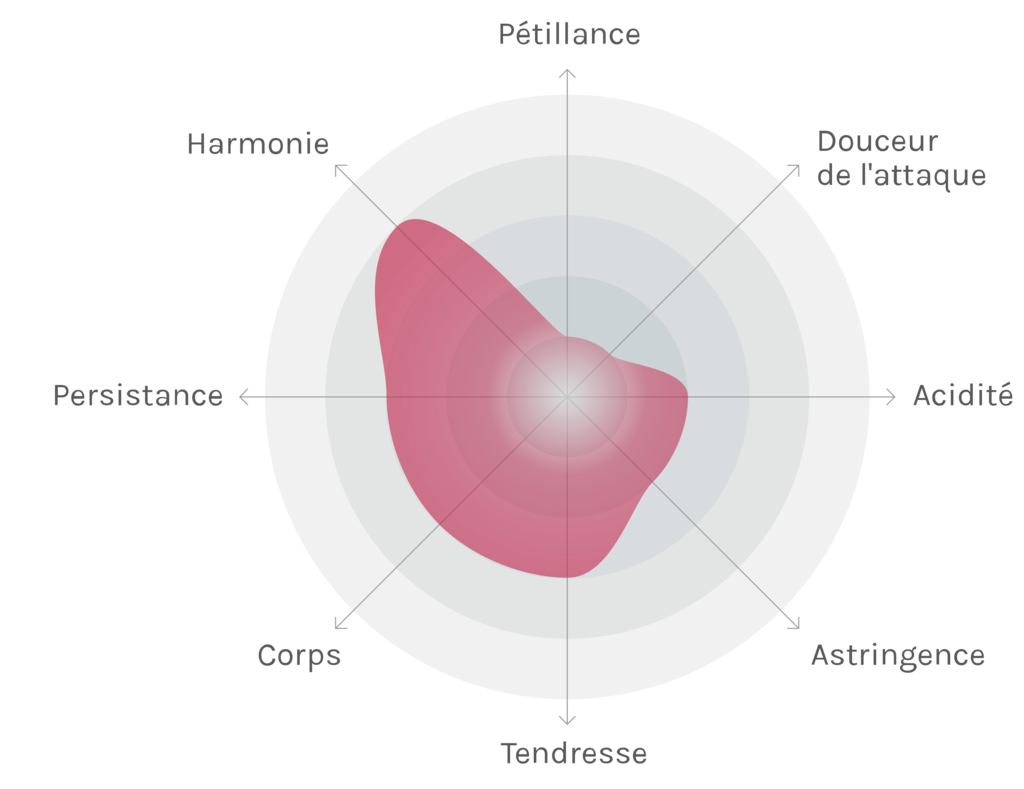 Spinnennetz-Chart