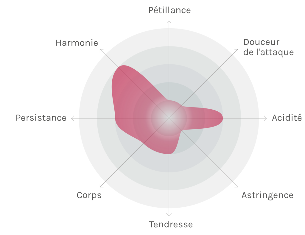 Spinnennetz-Chart