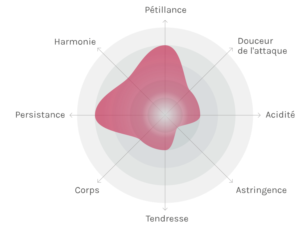 Spinnennetz-Chart