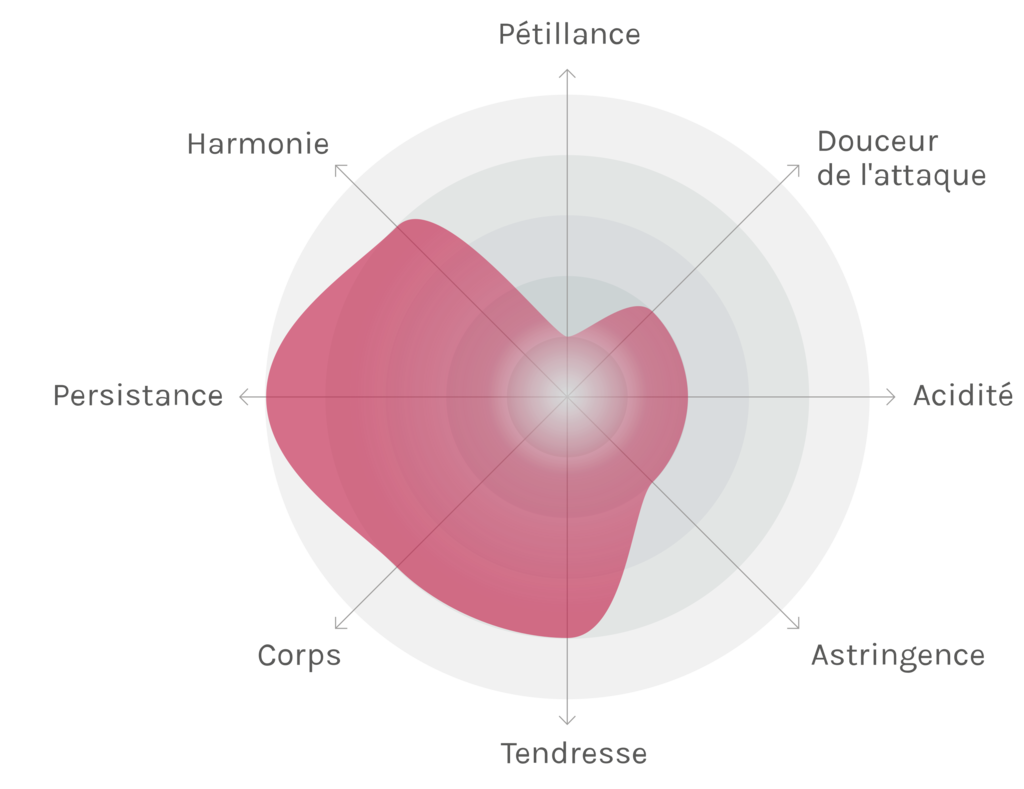 Spinnennetz-Chart