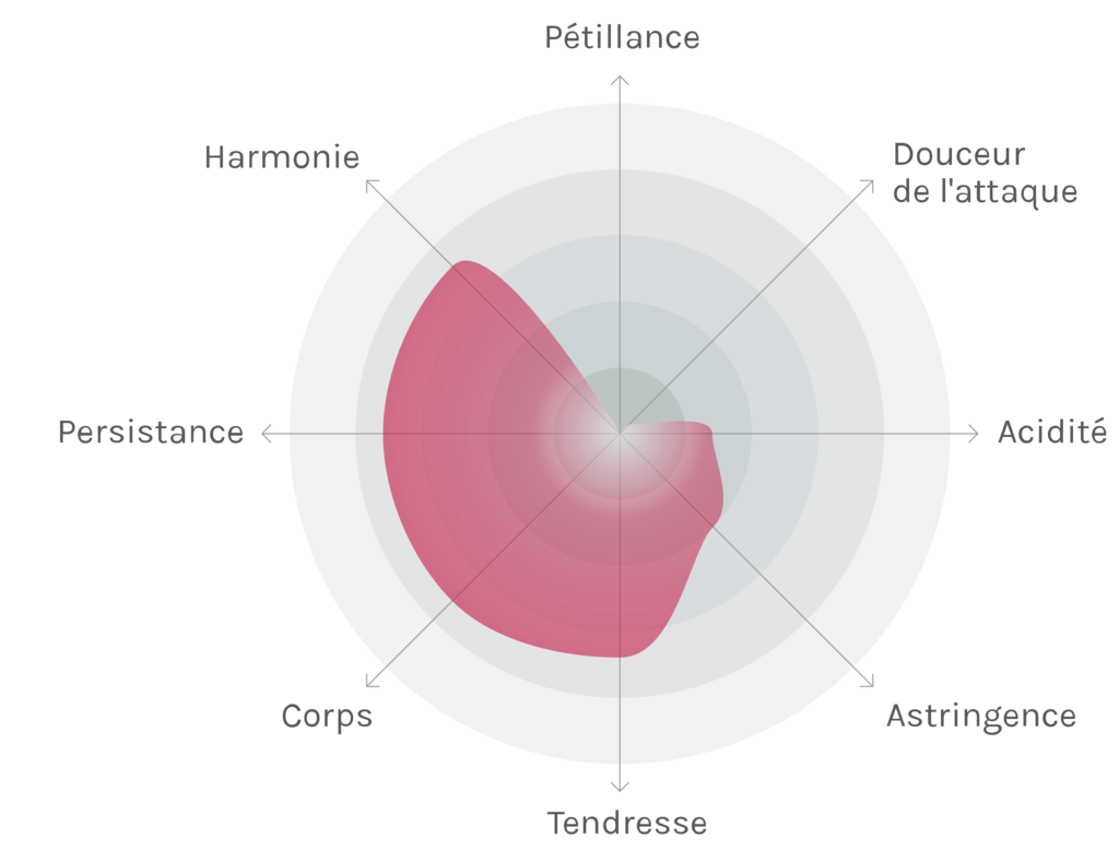 Spinnennetz-Chart