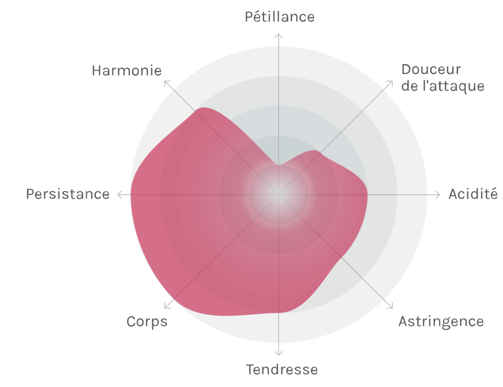 Spinnennetz-Chart