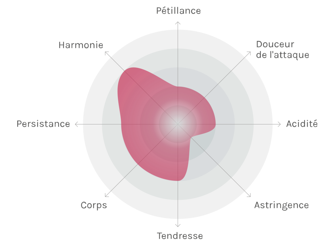 Spinnennetz-Chart