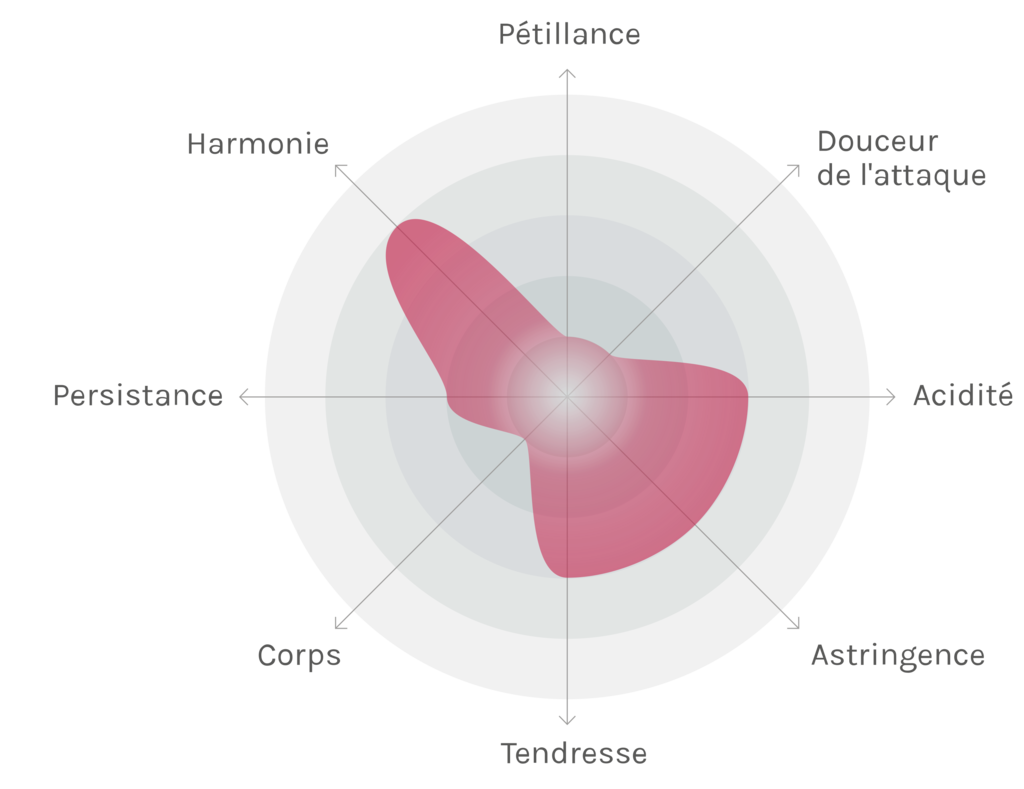 Spinnennetz-Chart