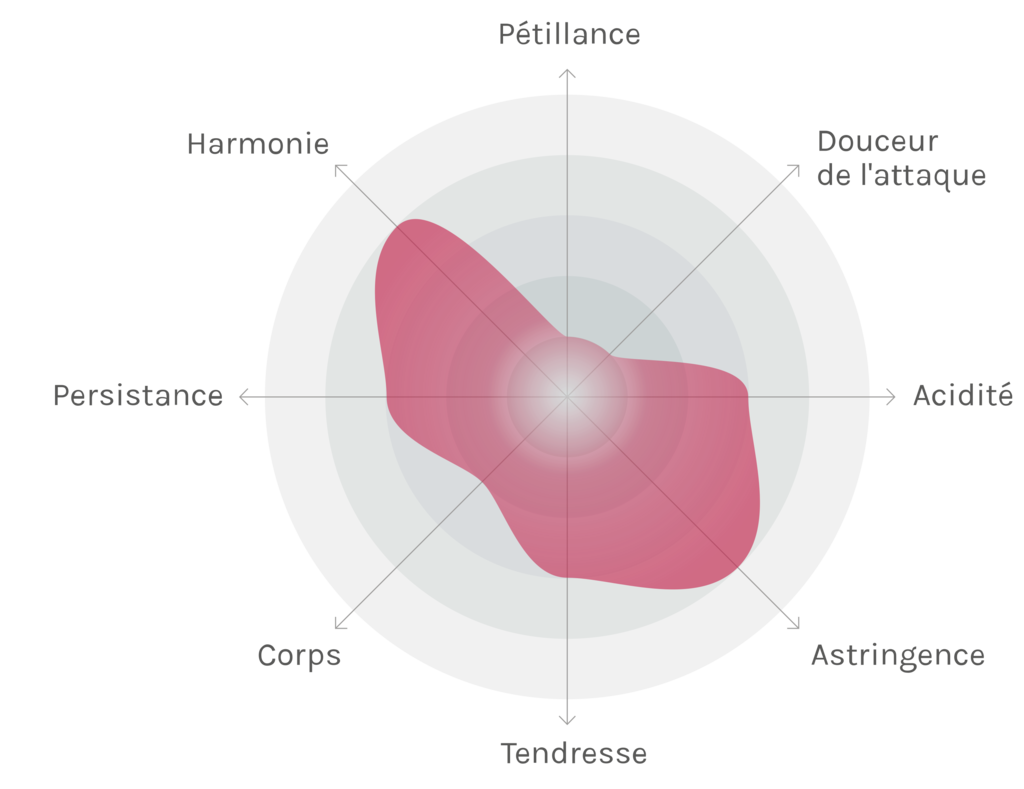 Spinnennetz-Chart