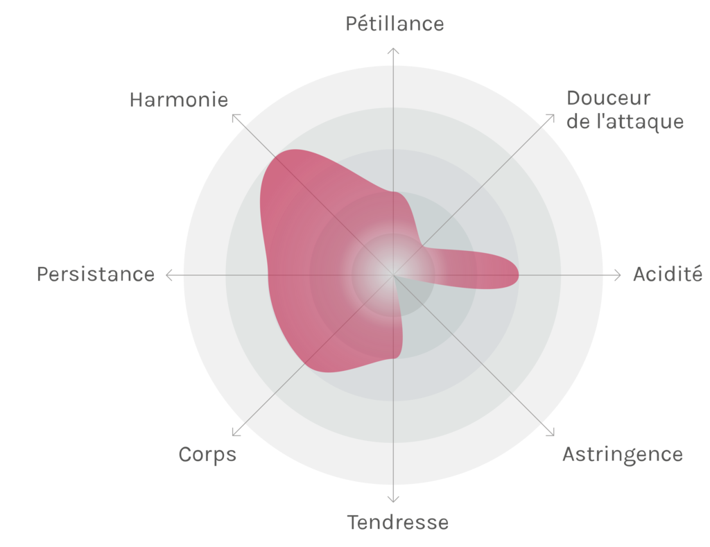 Spinnennetz-Chart