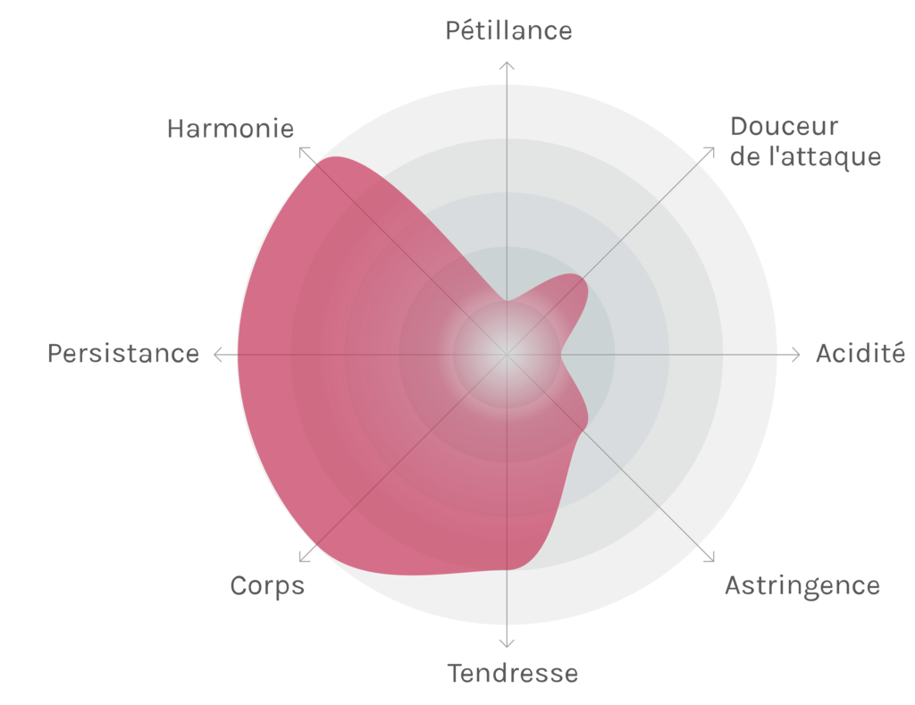 Spinnennetz-Chart