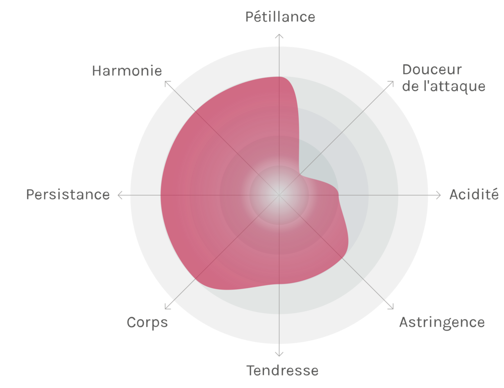 Spinnennetz-Chart