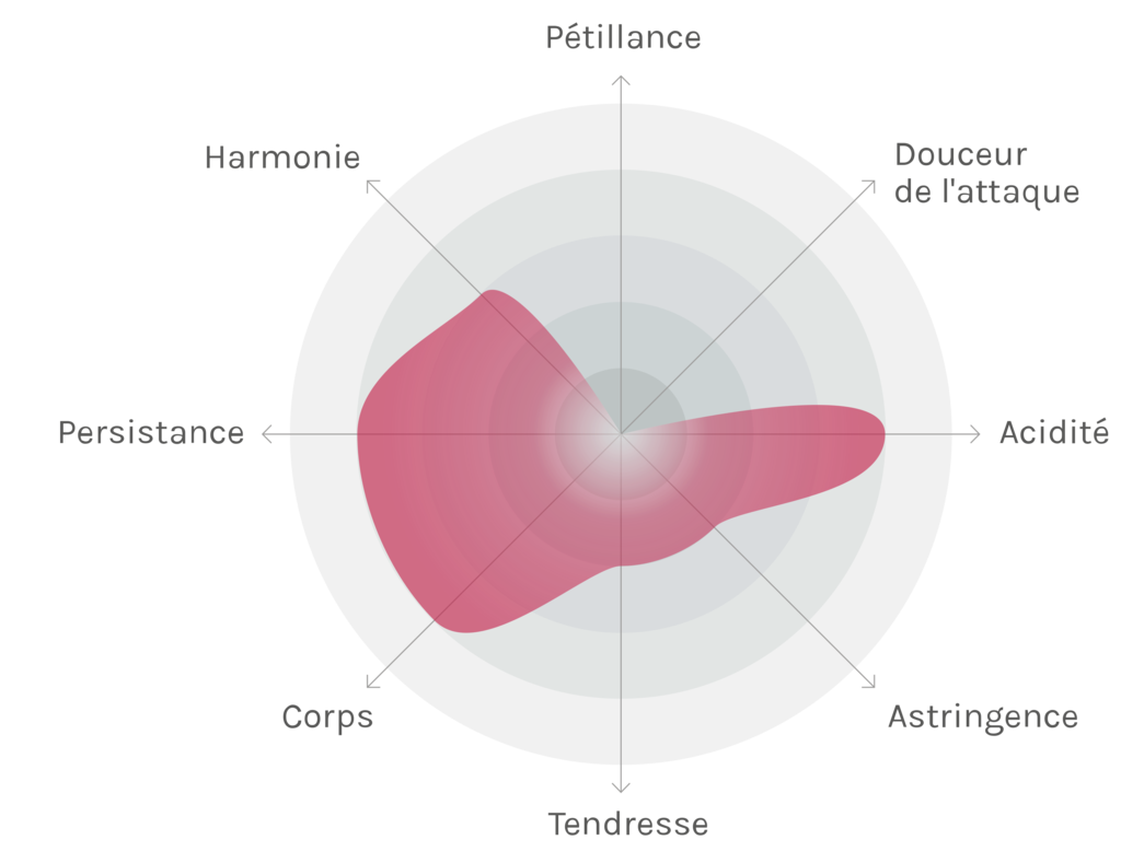 Spinnennetz-Chart