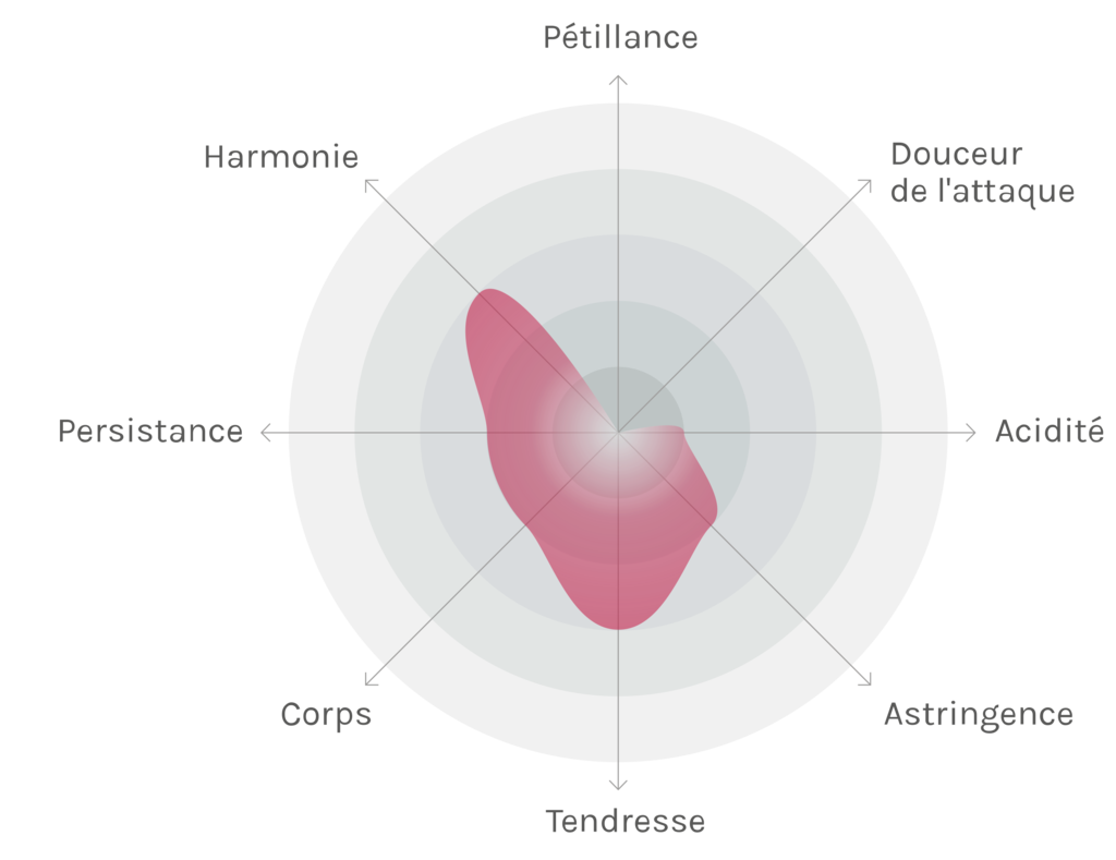 Spinnennetz-Chart