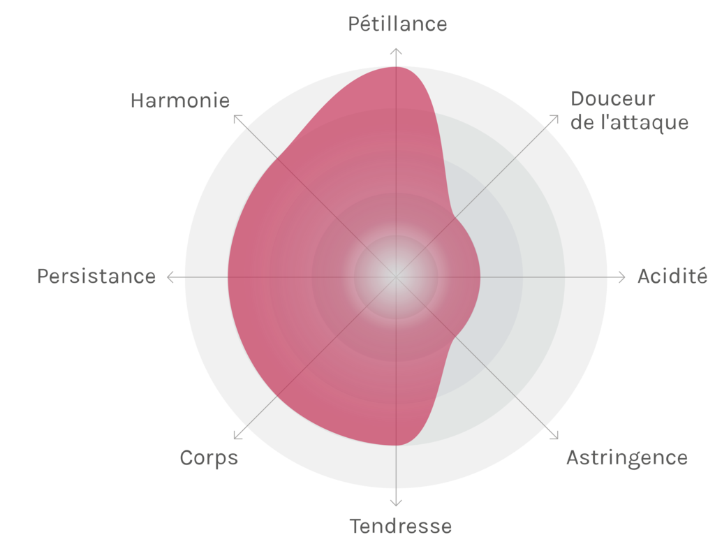 Spinnennetz-Chart