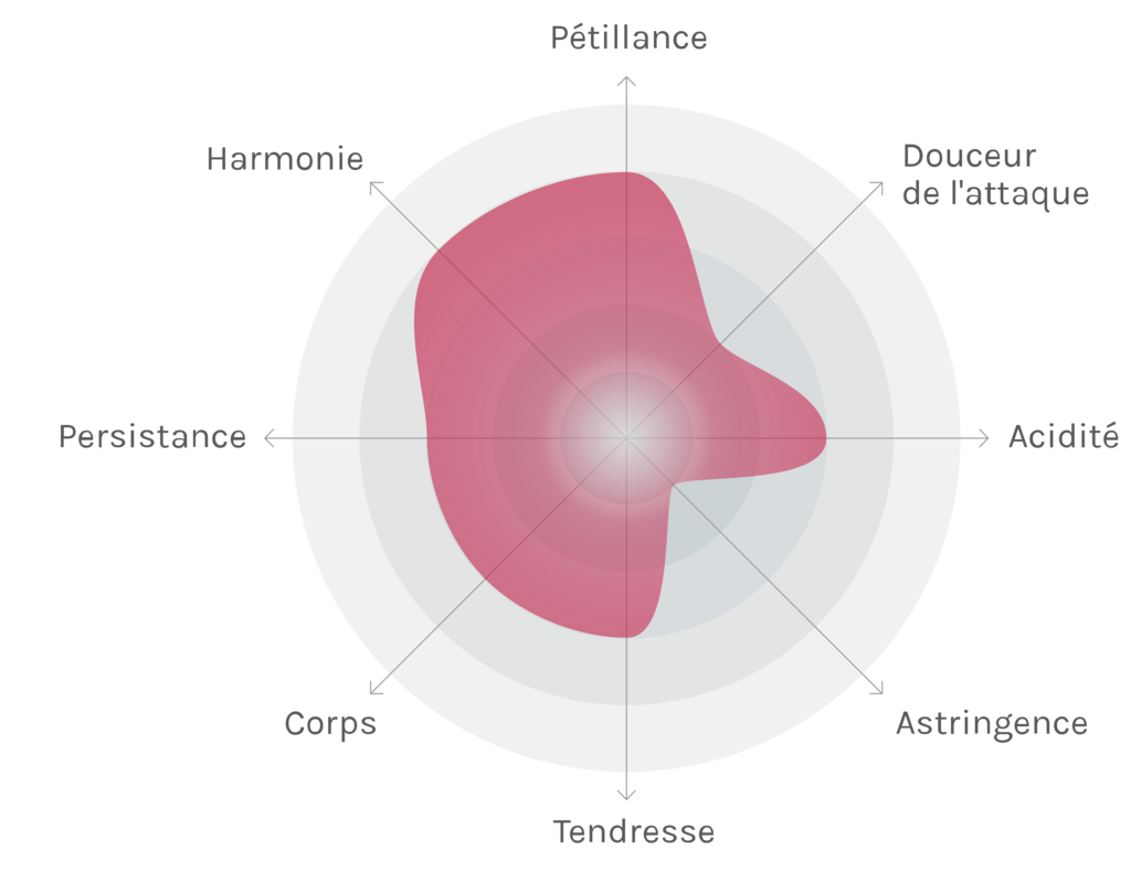 Spinnennetz-Chart