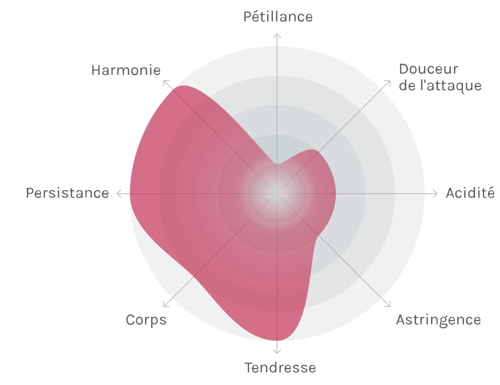 Spinnennetz-Chart