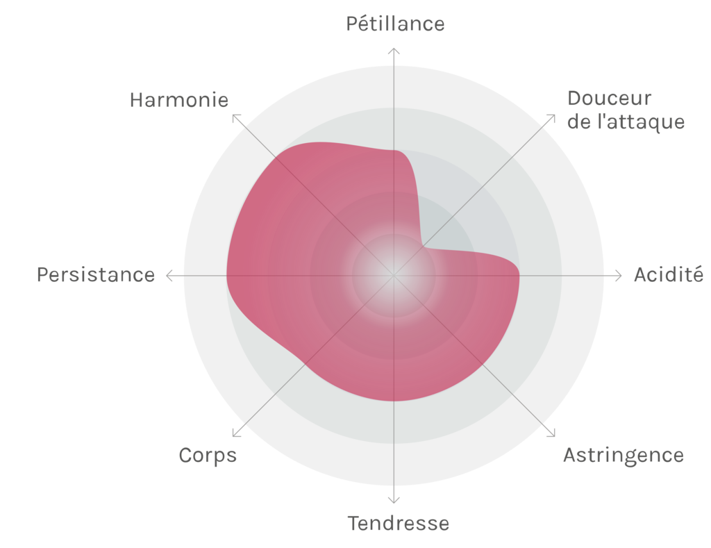 Spinnennetz-Chart