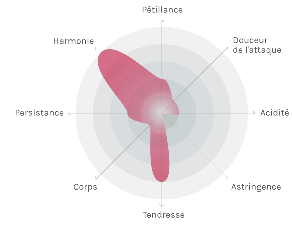 Spinnennetz-Chart