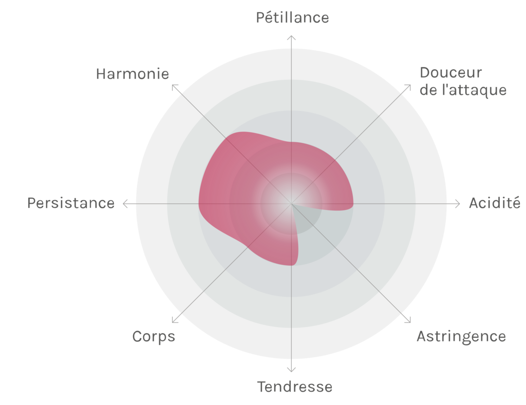 Spinnennetz-Chart