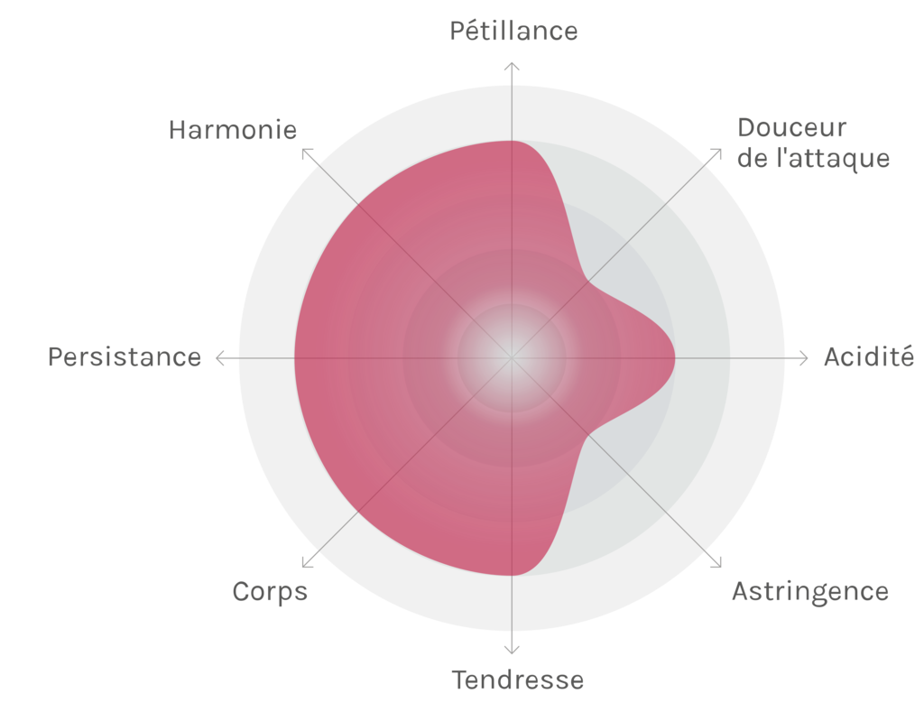 Spinnennetz-Chart