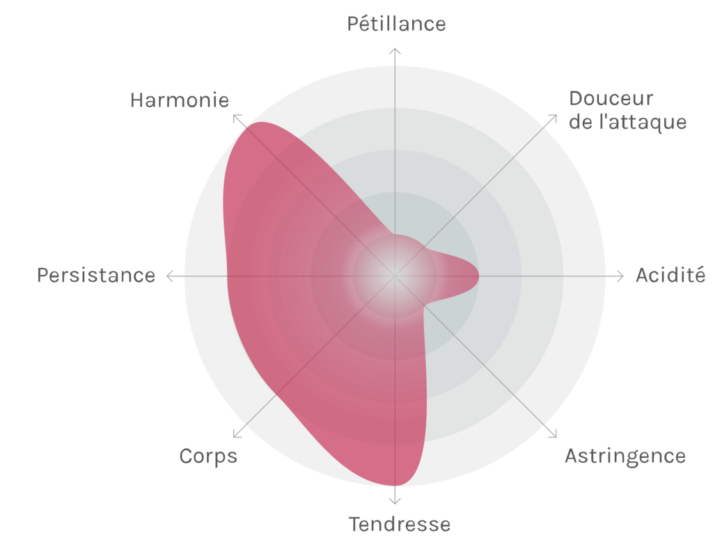 Spinnennetz-Chart